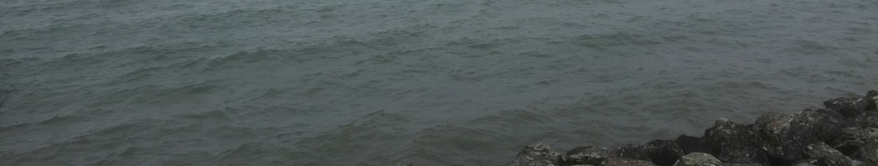 Fairtrade Development Organisation